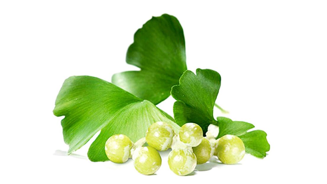 Ginkgo bilobe στο OstyHealth